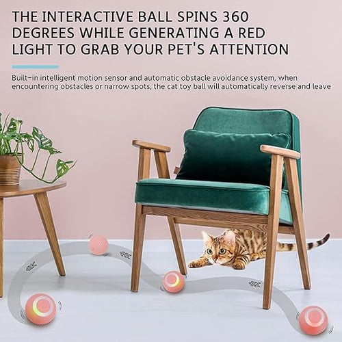 Cat Toy Ball